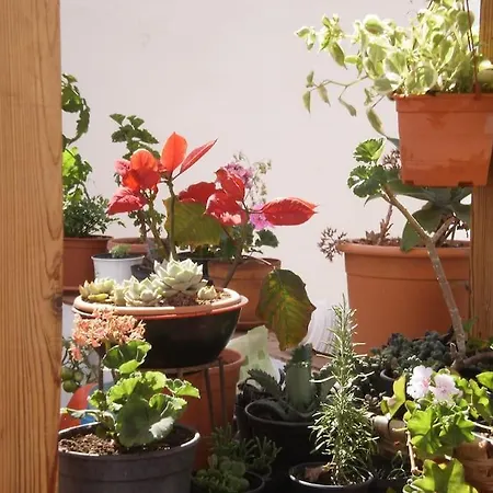 בית אירוח La Azotea לאס פאלמס דה גראן קנאריה